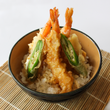 TENDON
